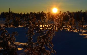 Low rising sun in the Swedish winter