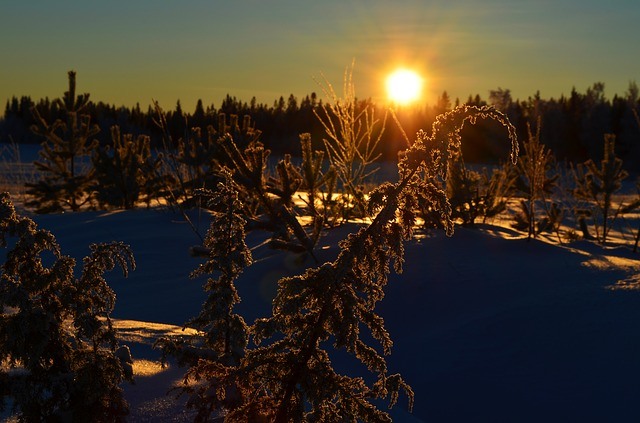 Low rising sun in the Swedish winter