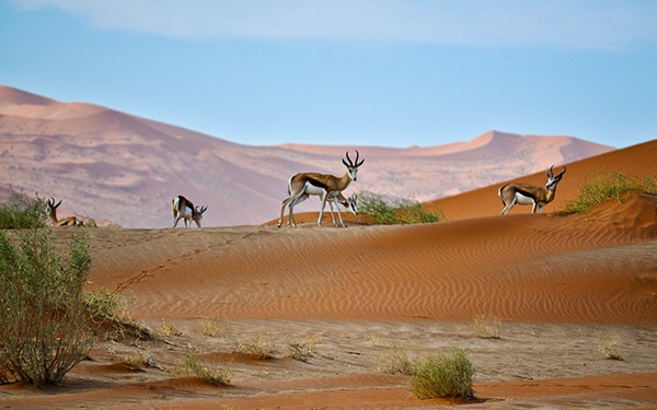 where to live in namibia